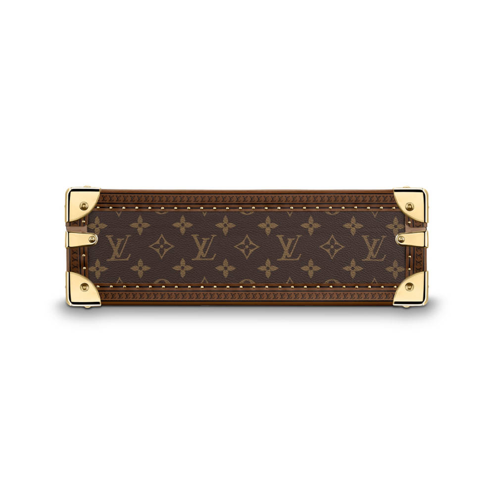 Louis Vuitton Brown Luxury 8 Watch Box-2
