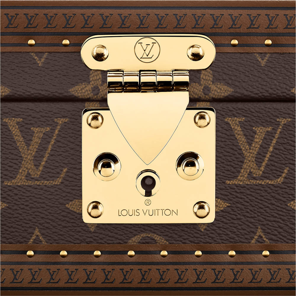 Louis Vuitton Brown Luxury 8 Watch Box-4