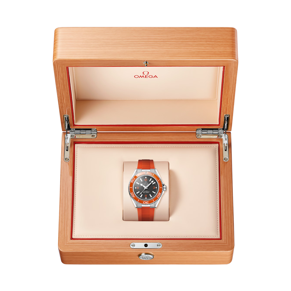 Omega Seamaster Planet Ocean 600M Watch 217.32.42.21.01.004-5