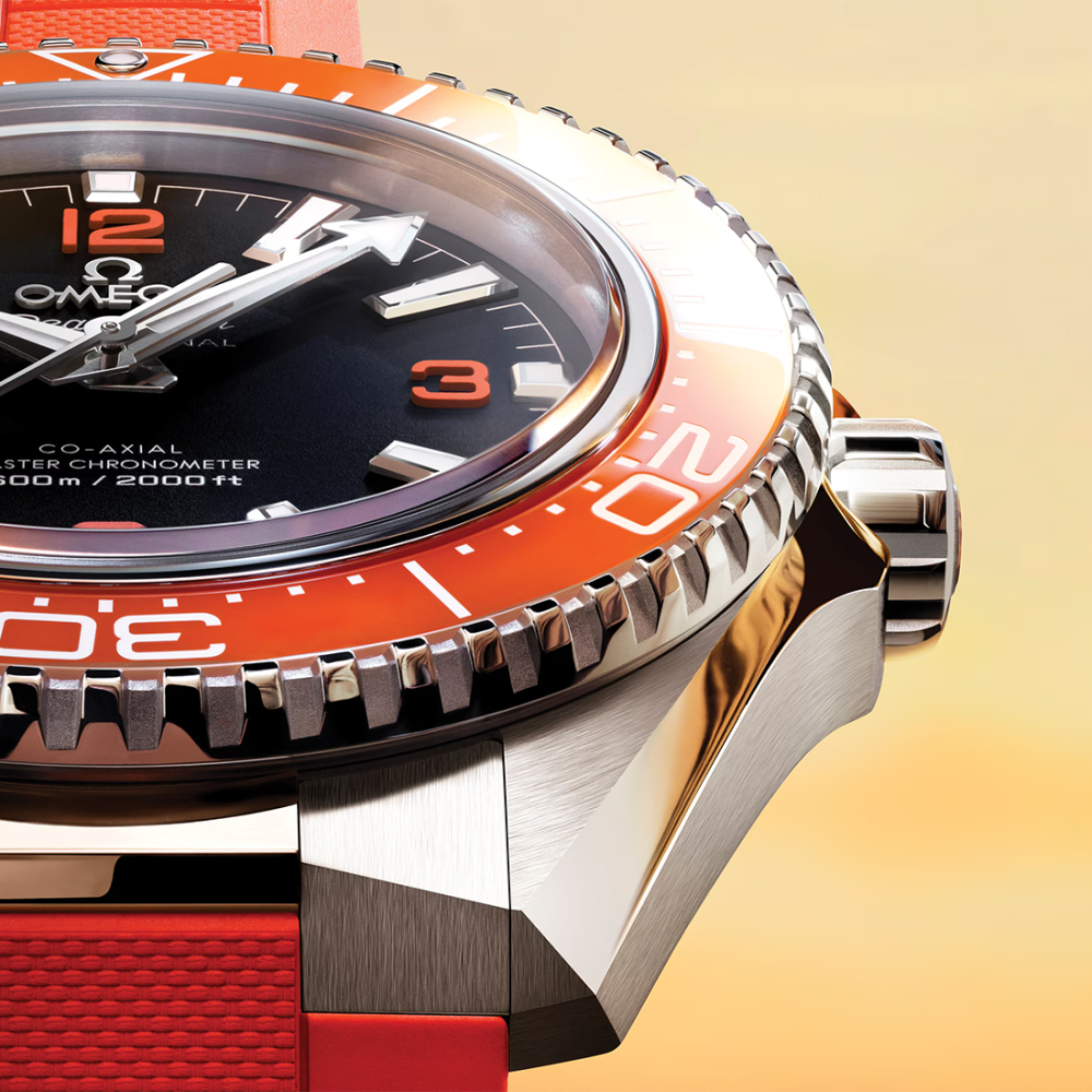 Omega Seamaster Planet Ocean 600M Watch 217.32.42.21.01.004-10