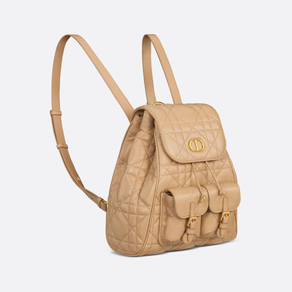 Christian Dior Brown Premium Backpack-1
