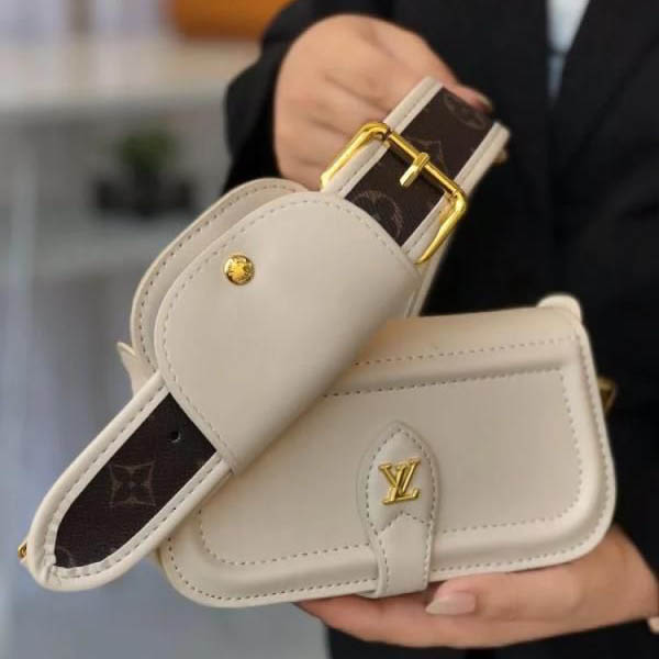 Louis Vuitton LV Canta Officer Pochette Bag-1