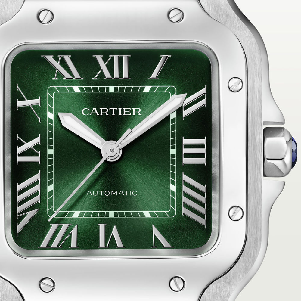 Cartier Automatic Movement Santos Watch WSSA0061-6
