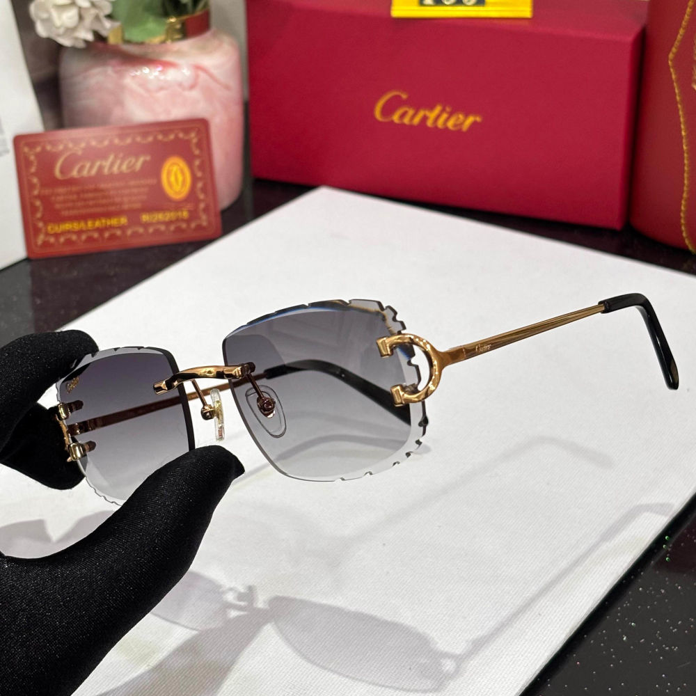 Cartier Grey Luxury Sunglasses-2