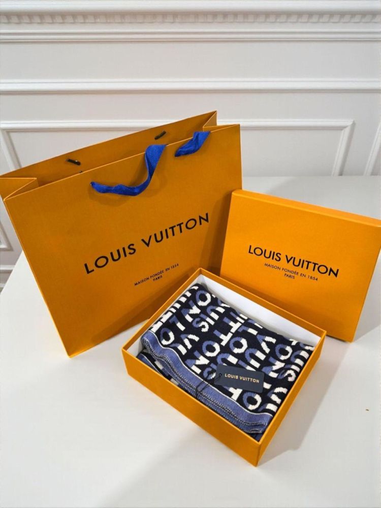 Louis Vuitton Blue Cashmere Wool Blend Scarf-3