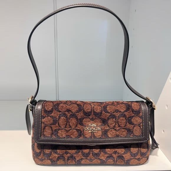 Coach Eatta Brown Small Flap Tote Bag-1
