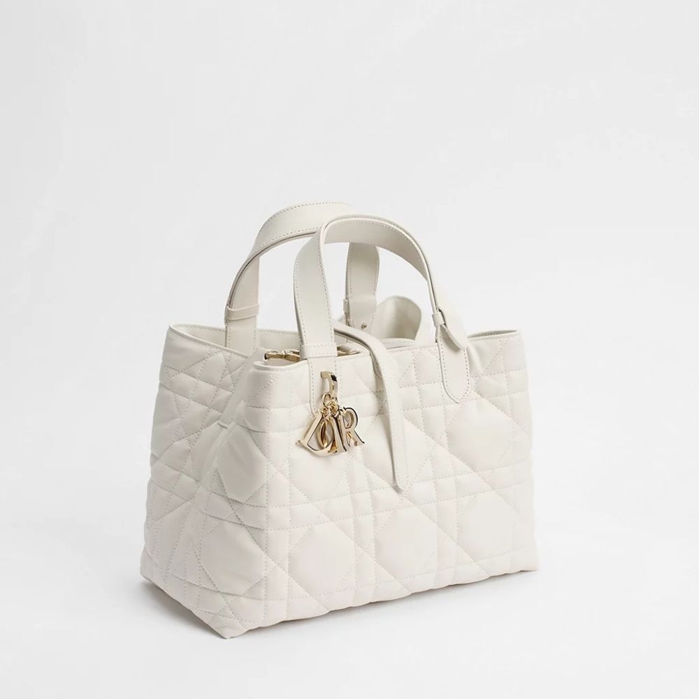 Dior Signature White Handbag-2