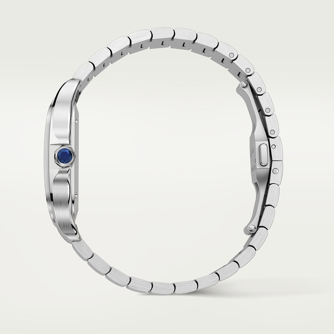 Cartier Automatic Movement Santos Watch WSSA0061 thumbnail 6