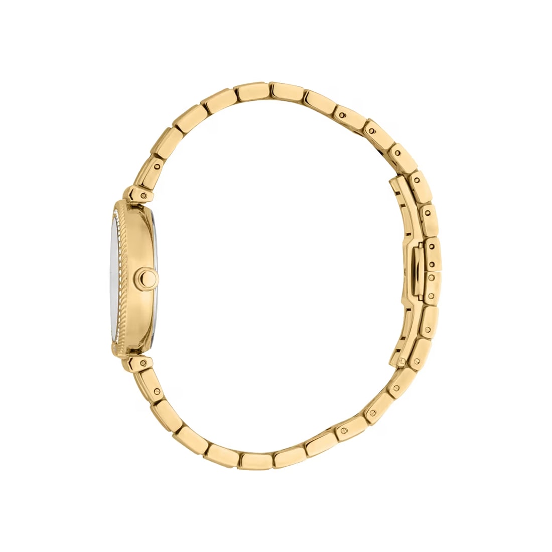 Roberto Cavalli Chiarezza Snake Core Silver Dial Gold Strap Watch RC5L078M0025 thumbnail 3