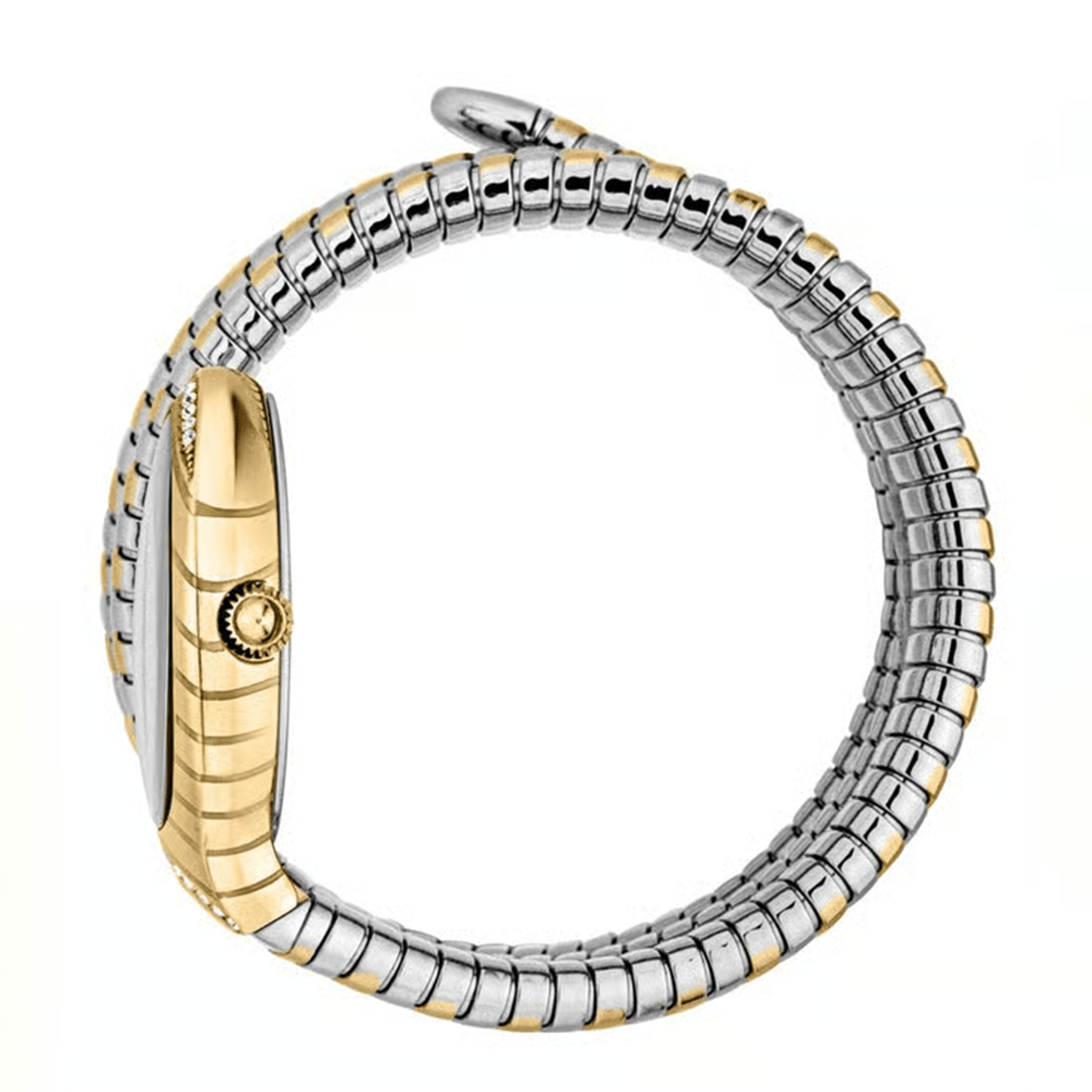 Just Cavalli JC1L248M0055 Classico Lungo Watch for Women thumbnail 2