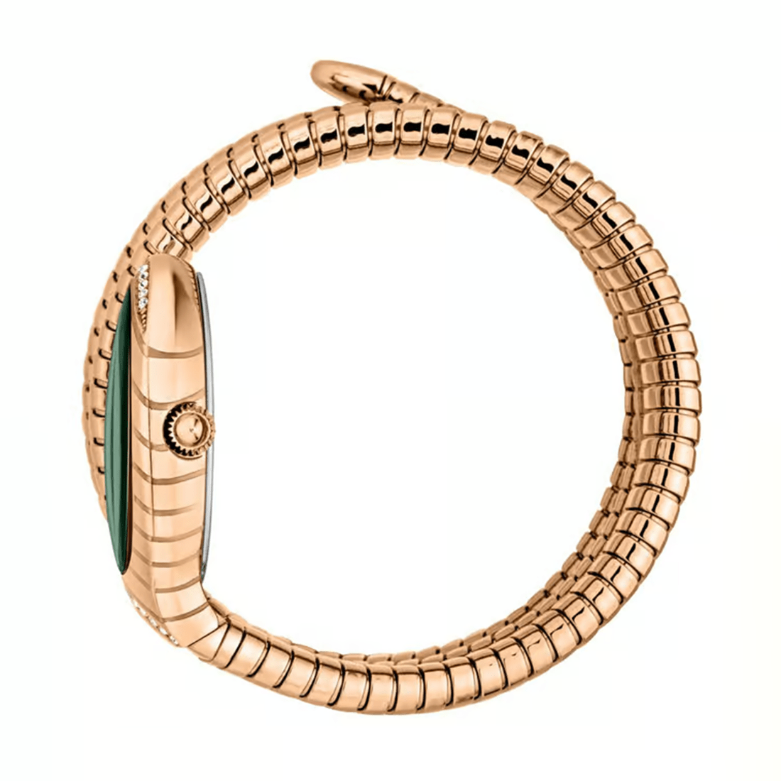 Just Cavalli JC1L248M0045 Classico Lungo Watch for Women thumbnail 2