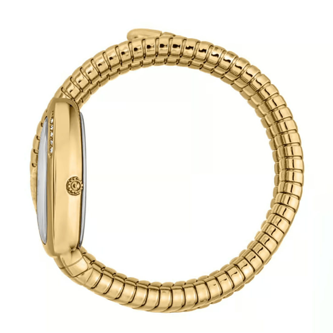 Just Cavalli JC1L230M0035 Vezzoso Watch for Women thumbnail 2