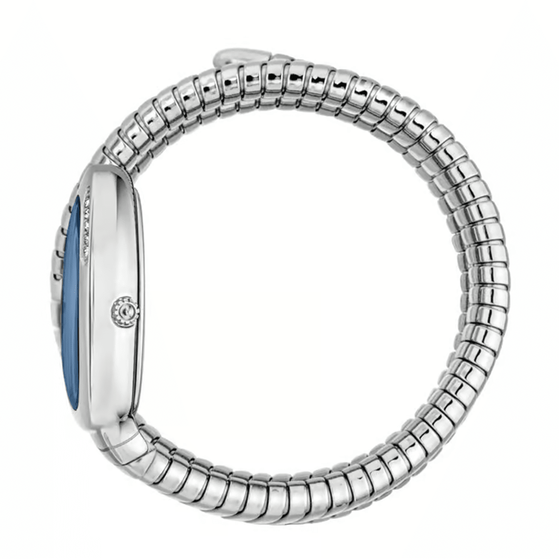 Just Cavalli Vezzoso JC1L230M0025 Blue Dial Watch For Women thumbnail 2