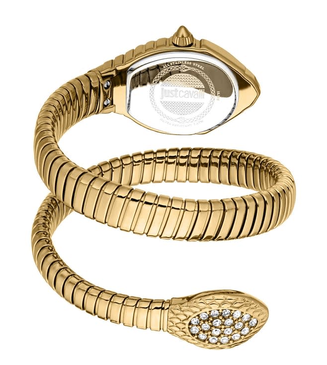 Just Cavalli Speranza Watch for Women JC1L356M0035 thumbnail 2