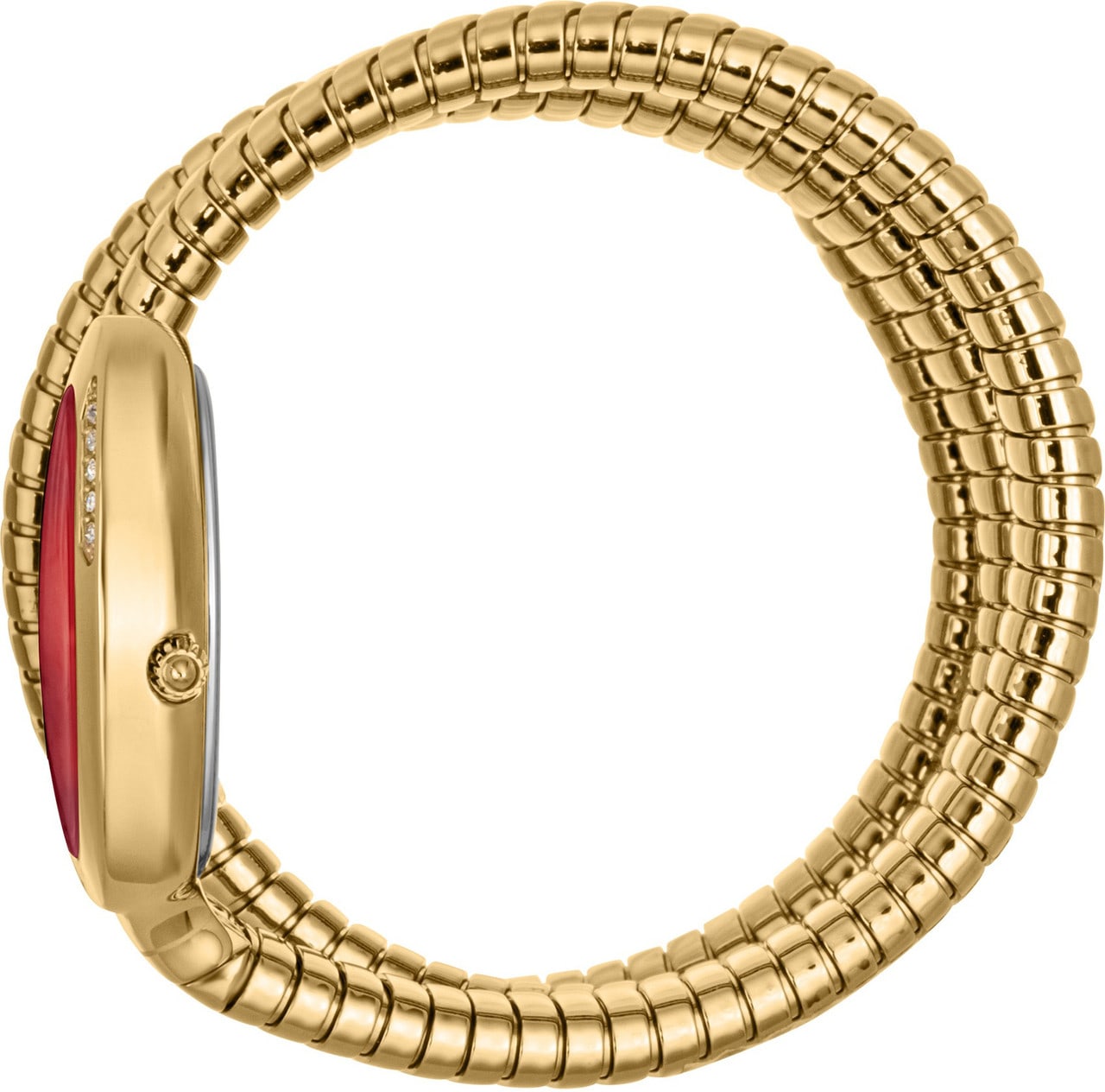 Just Cavalli Glam Evo 5 Family Watch For Women JC1L228M0045 thumbnail 2