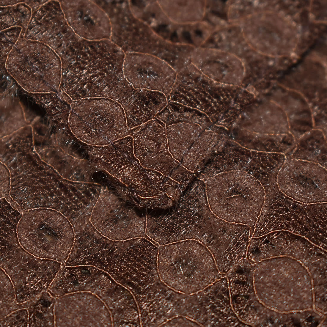 Gucci Brown Premium See-through Men's Shirt-3