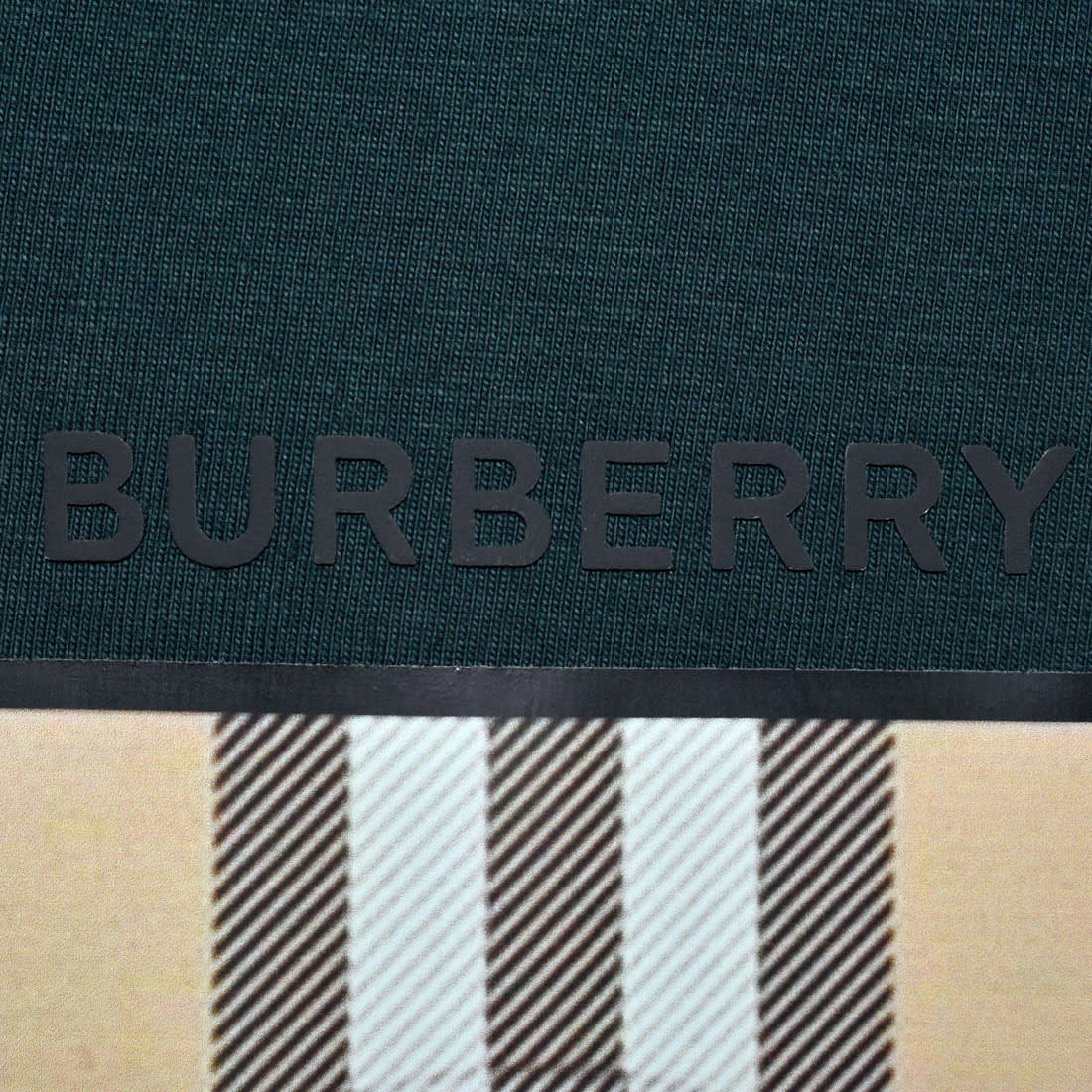 Burberry Teddy Print Dark Green Women Overized T-shirt-3