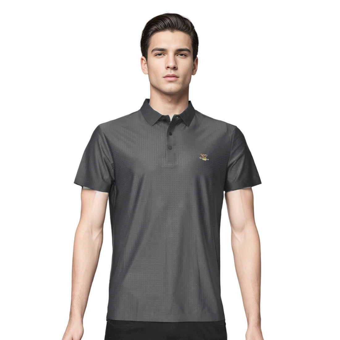 Emporio Armani Grey Premium Quality Polo Tees-0