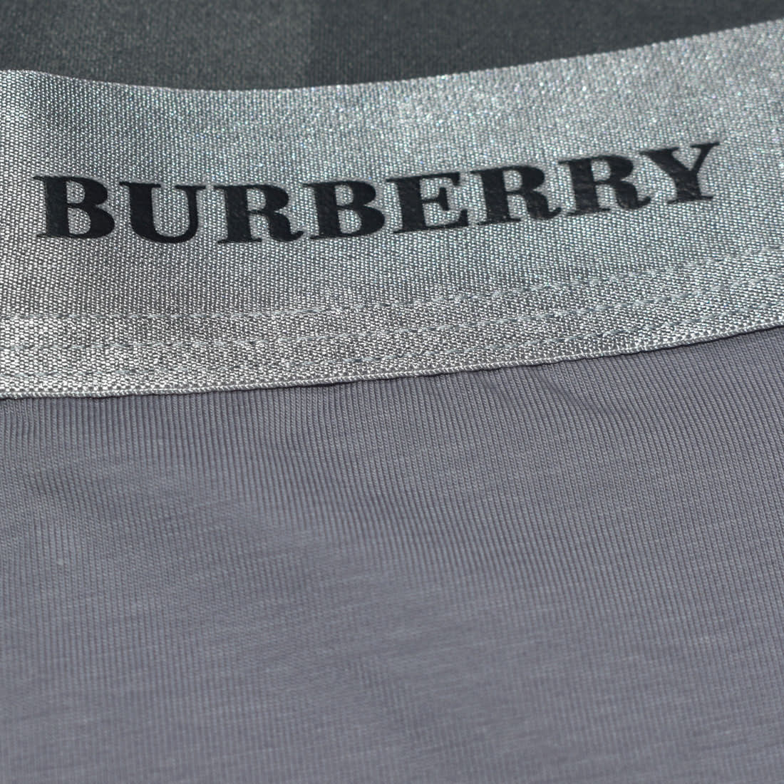 Burberry Premium Quality Synthetic Underwear-2