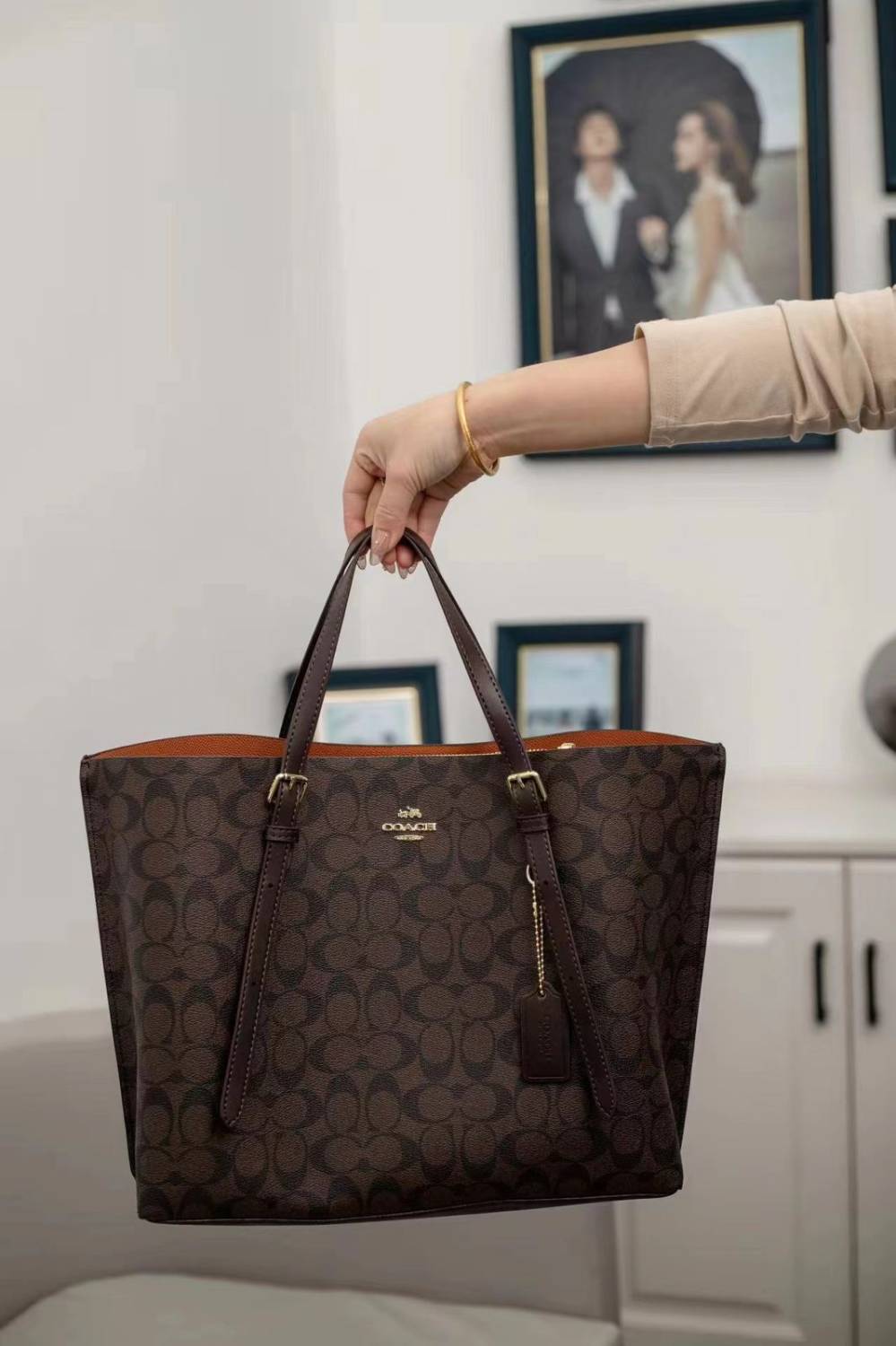 Coach Signature Mollie Tote Dark Brown Shoulder Bag-0