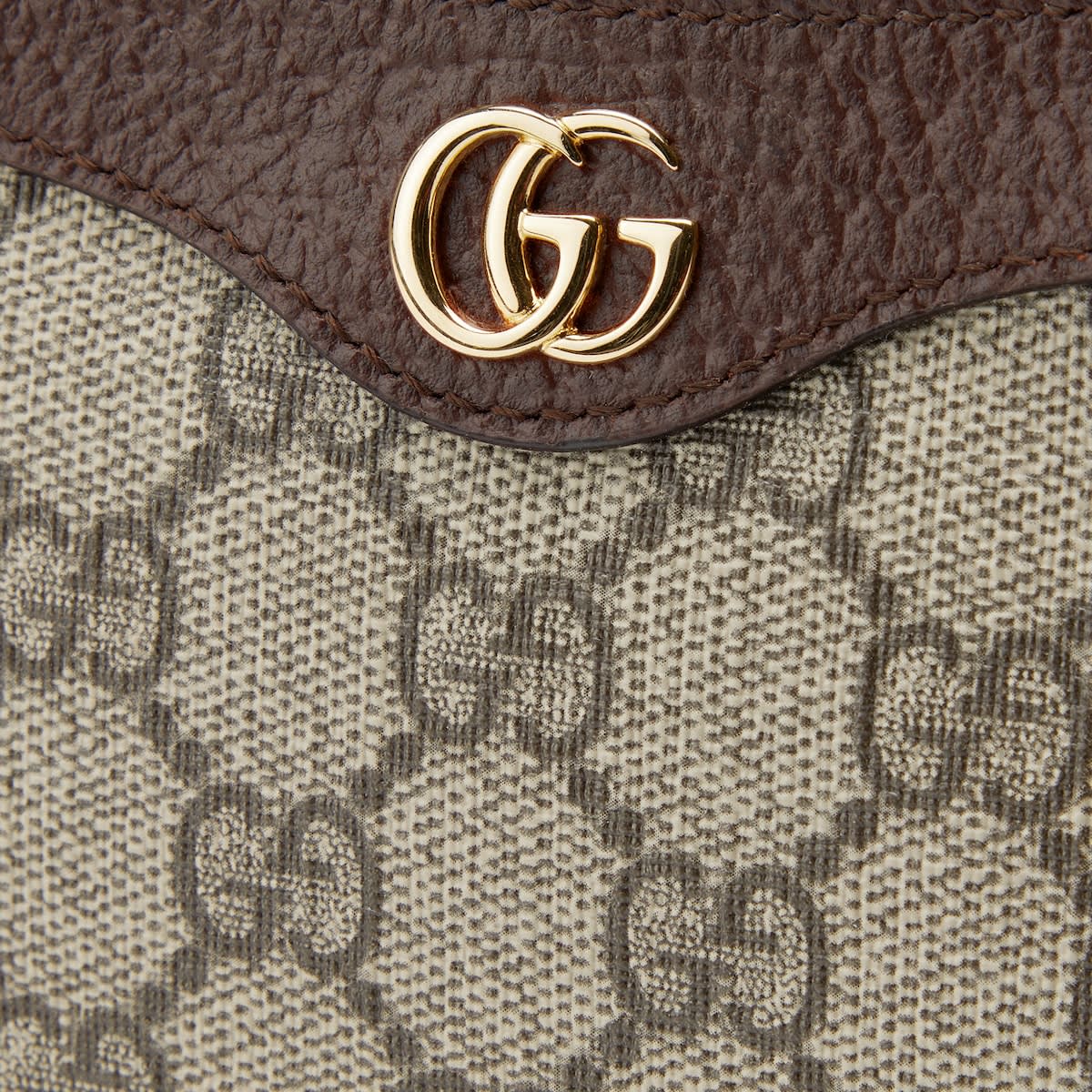 Gucci Ophidia mini Handbag-6