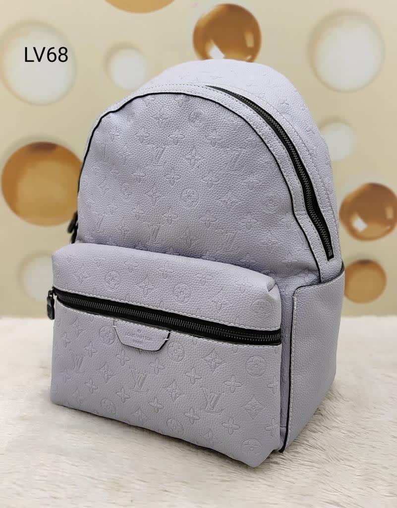 Louis vuitton Grey Premium Bag-0