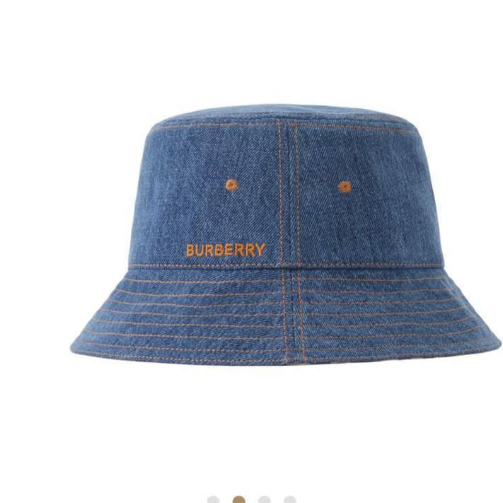 Burberry Embroidered Blue Premium Cap-0