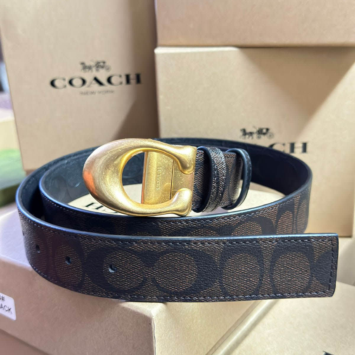 Coach Brown Elastic Band Crystal Embellished Buckle Belt-0