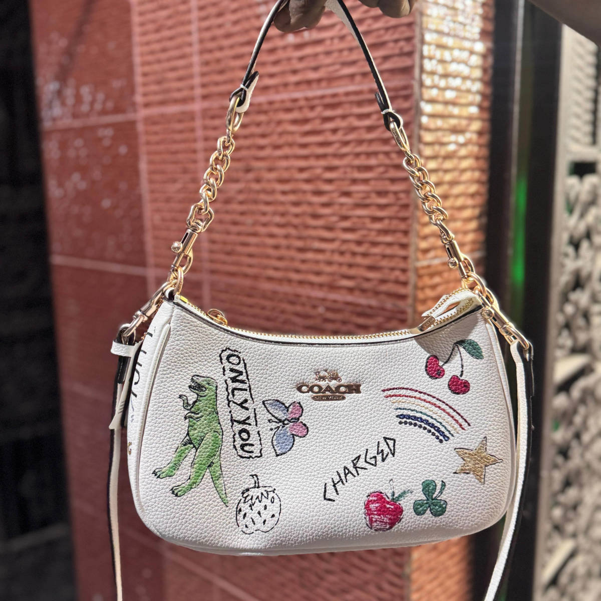 Coach Signature Sketch White Shoulder Bag-0