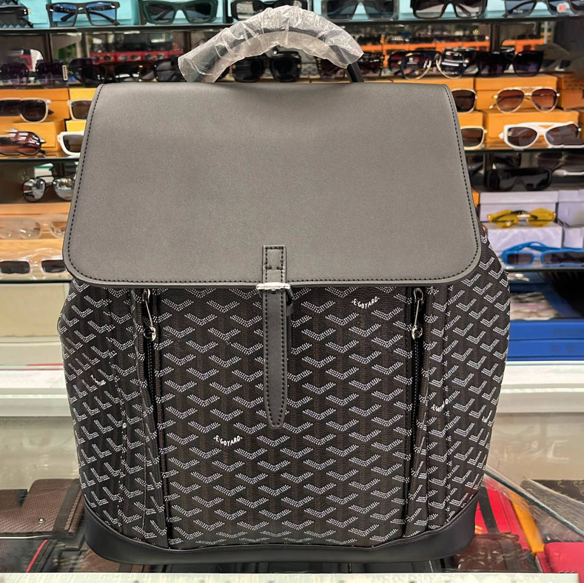 Goyard Alpin MM Backpack-0