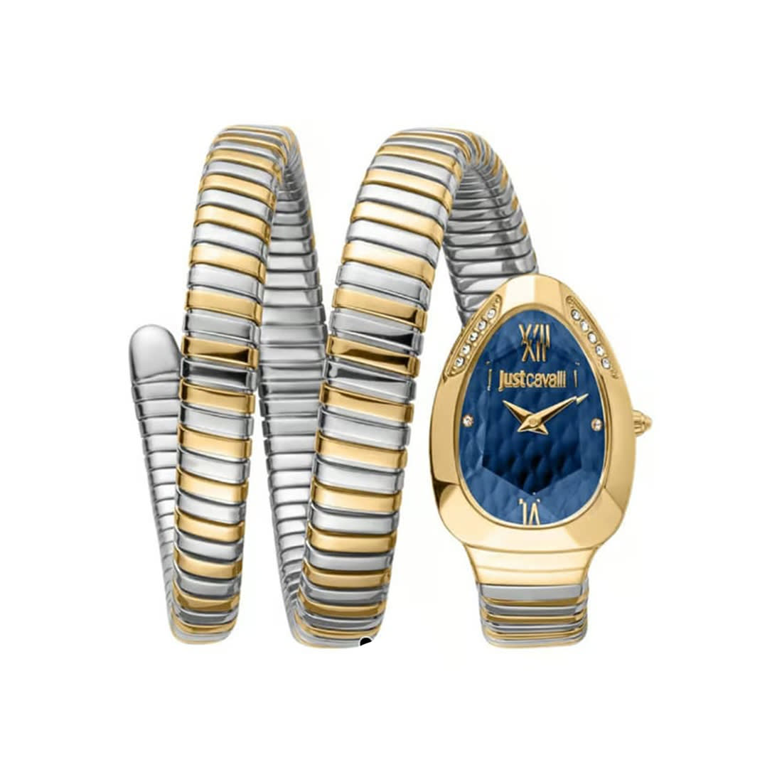 Just Cavalli Glam Evo 9 Family Watch For Women JC1L224M0075-0