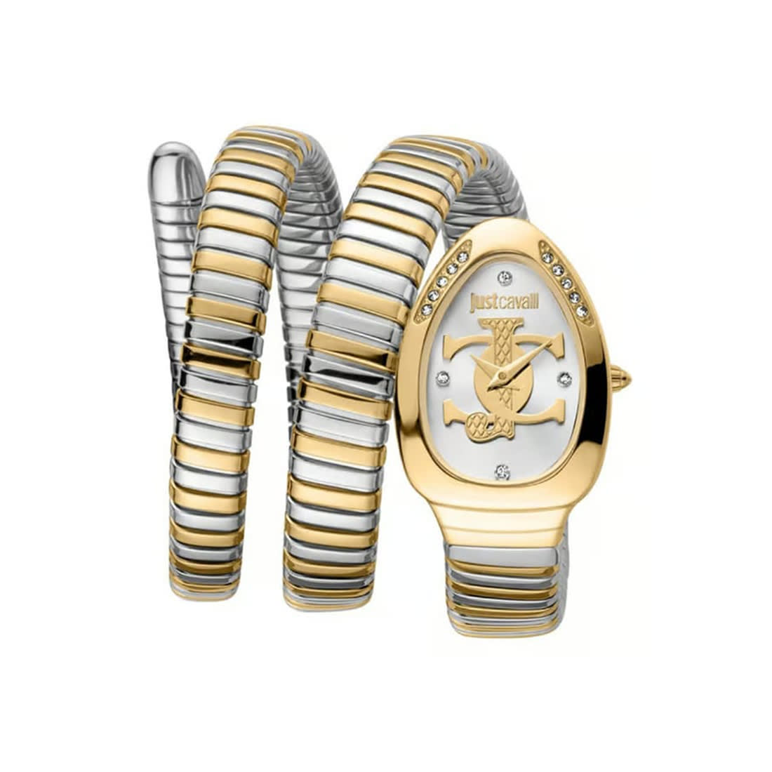 Just Cavalli Glam Evo 5 Family Watch For Women JC1L228M0065-0