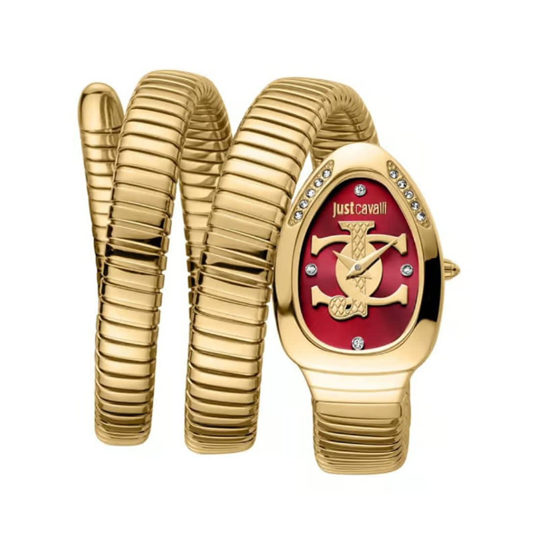 Just Cavalli Glam Evo 5 Family Watch For Women JC1L228M0045-0