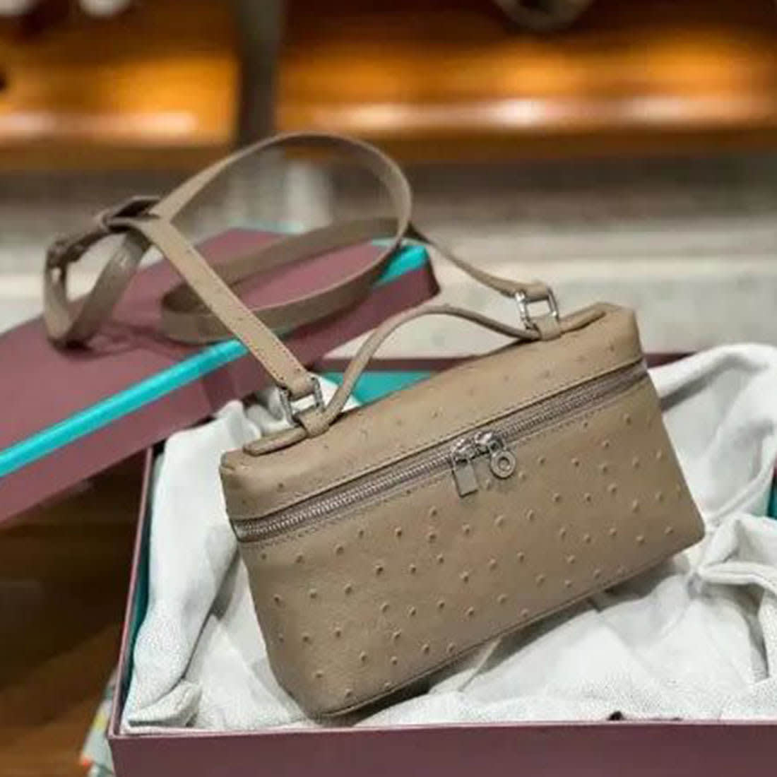 Loro Piana Ostrich Beige Crossbody Bag-0