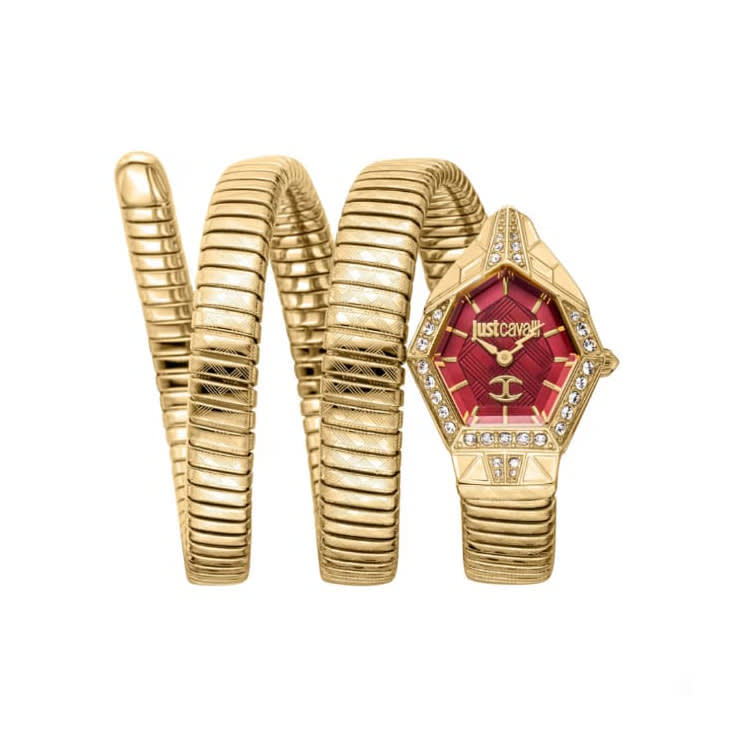 Just Cavalli Red Dial Women Analogue Watch JC1L304M0035-0