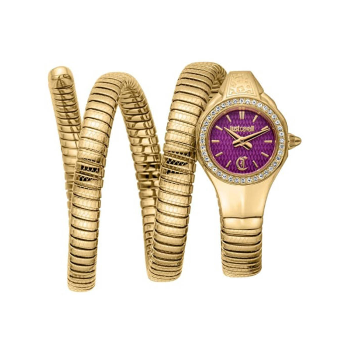 Just Cavalli Vita Watch for Women JC1L355M0035-0