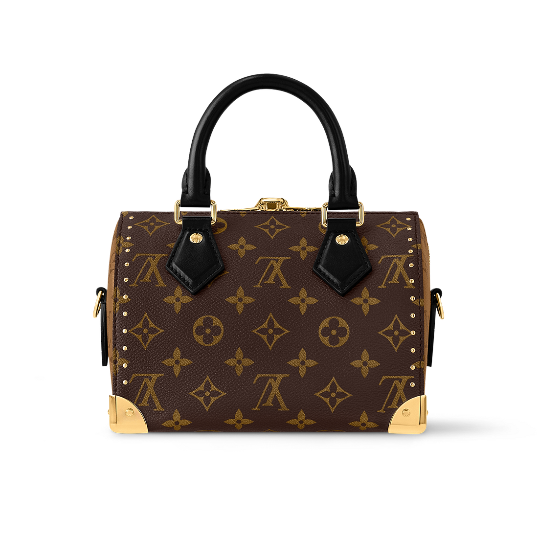 Louis Vuitton Cruise Speedy Brown Handle Bag-1
