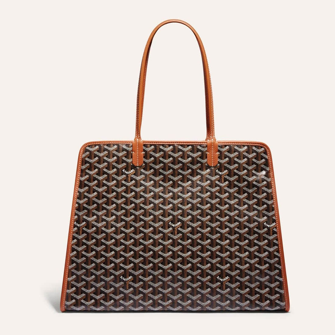 Goyard Hardy PM Black & Brown Tote Bag-0