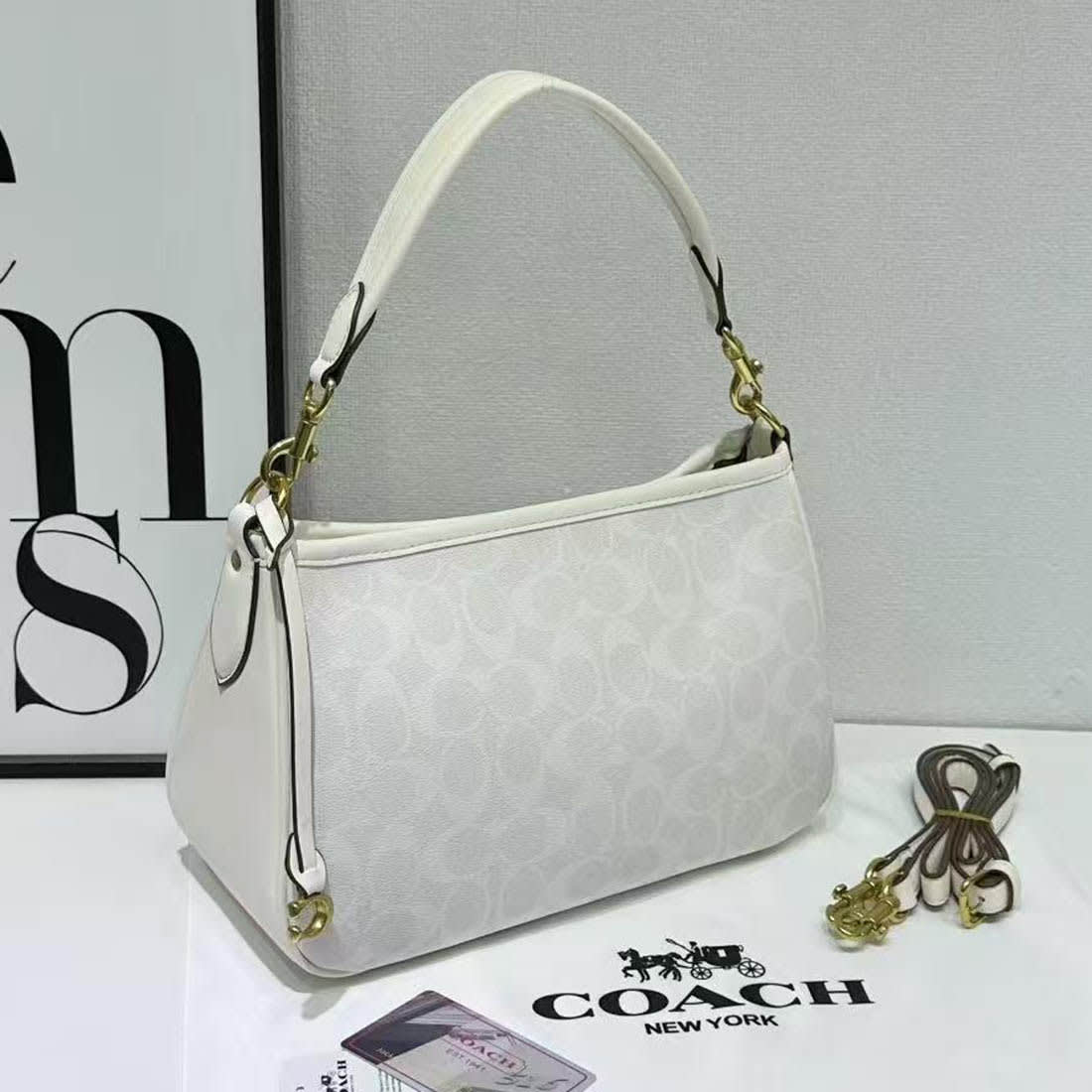 Coach Cary White Shoulder Bag-0