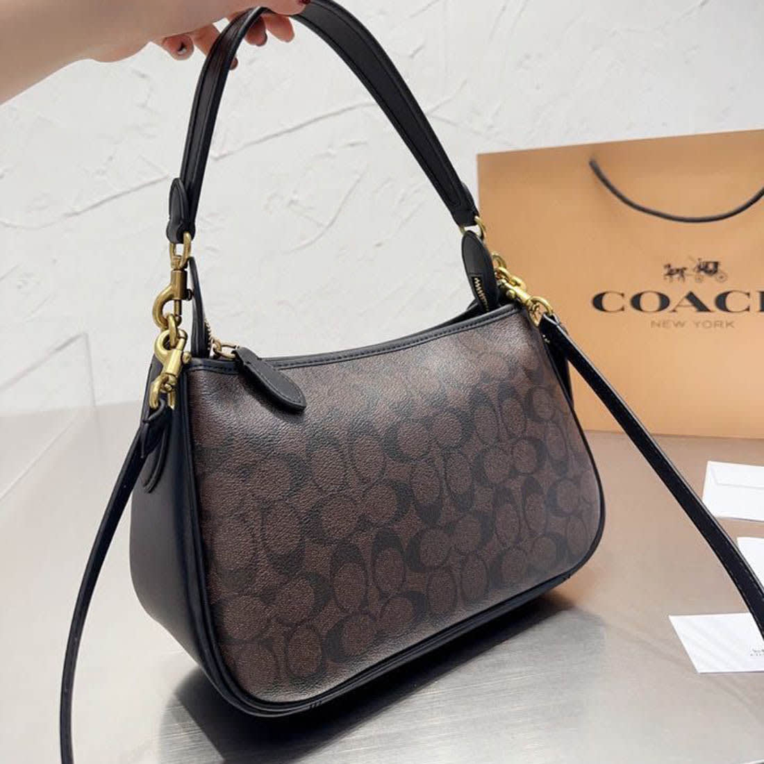 Coach Cary Black & Brown Shoulder Bag-0