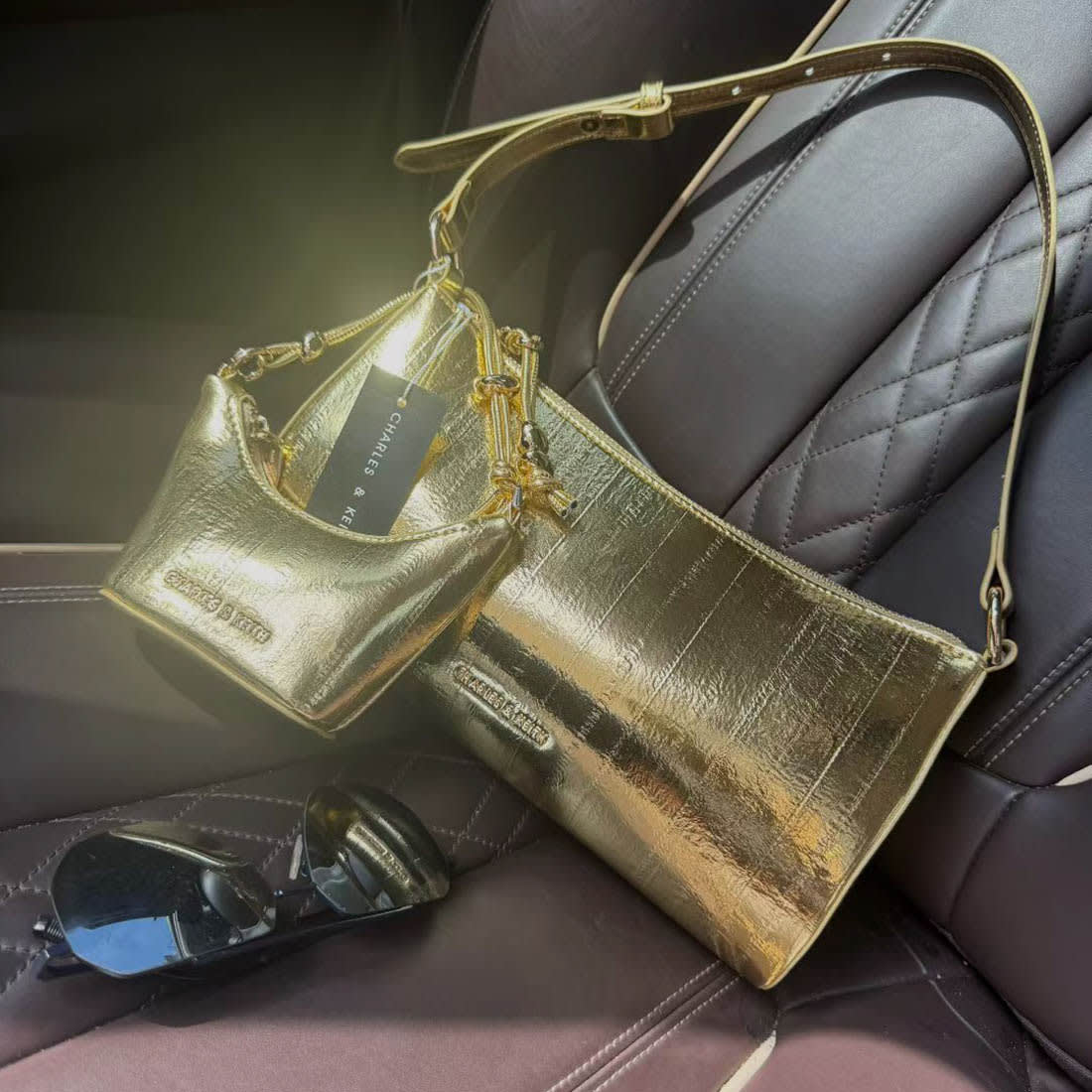 Charles & Keith Augustine Metallic Eel-Effect Golden Scultured Bag-0