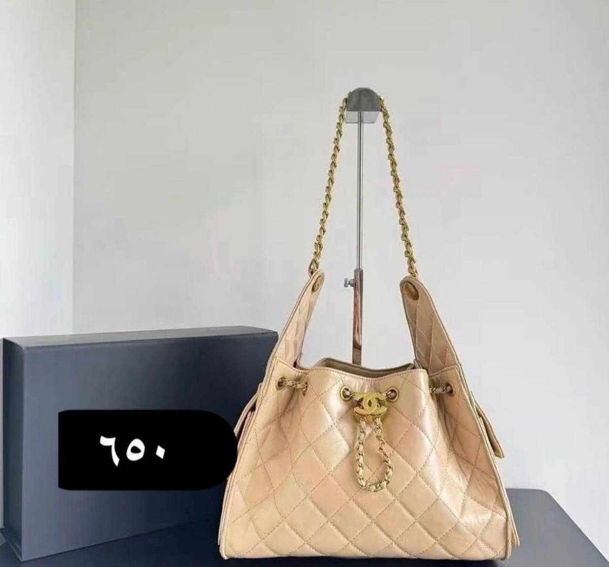 Chanel Maxi Brown Mini Hobo Bag-0