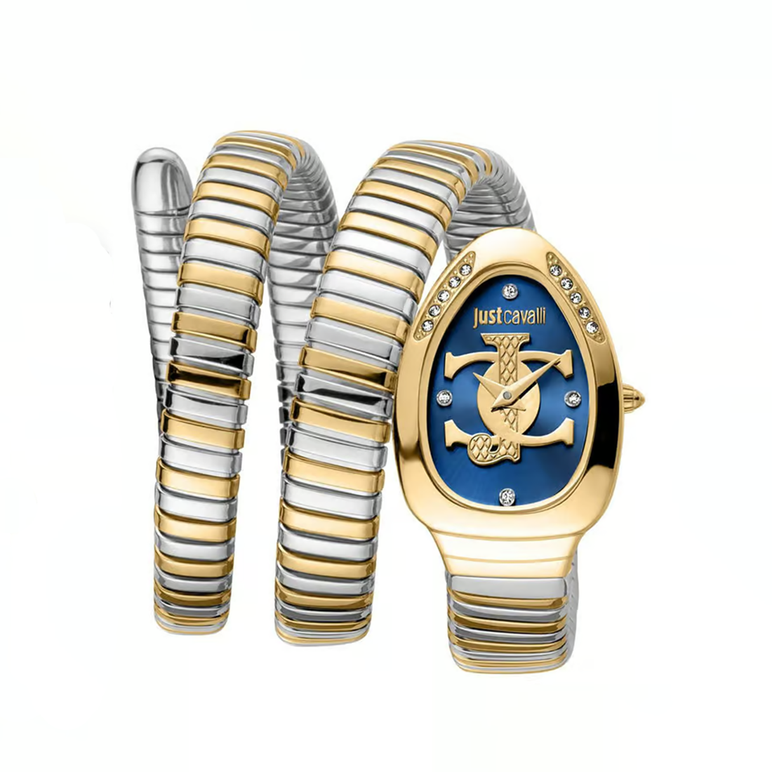 Just Cavalli JC1L228M0075 Glam Evo 5 Family Watch For Women-0