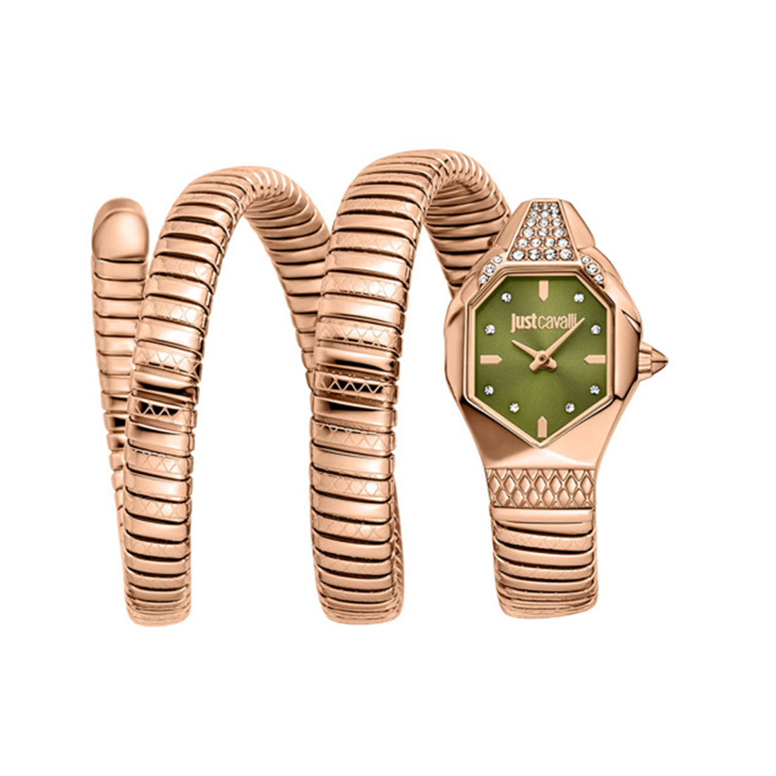 Just Cavalli Women Printed Dial & Stainless Steel Straps Analogue Watch JC1L370M0045-0