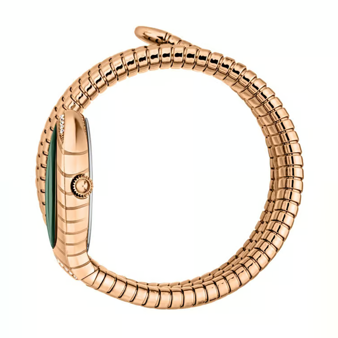 Just Cavalli JC1L248M0045 Classico Lungo Watch for Women-1