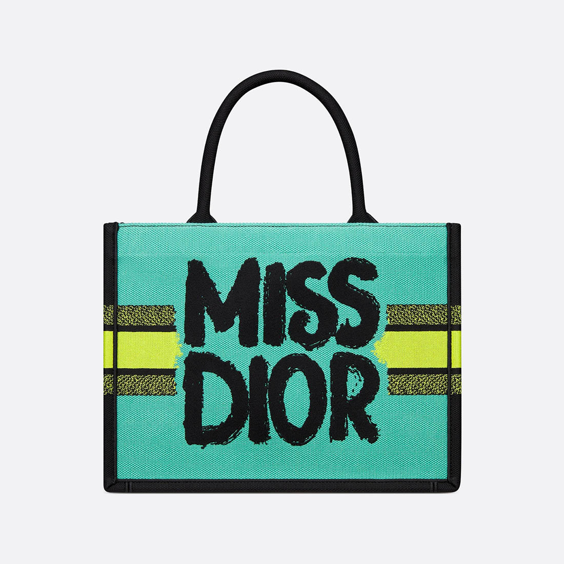 Dior Medium Dior Book Tote Bag-1