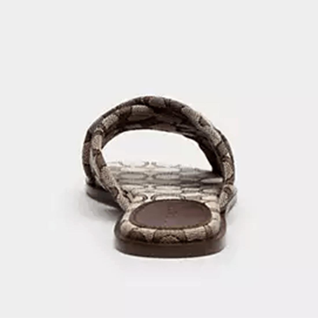 Coach Brown Criss Cross Women's Flat Sandal-2