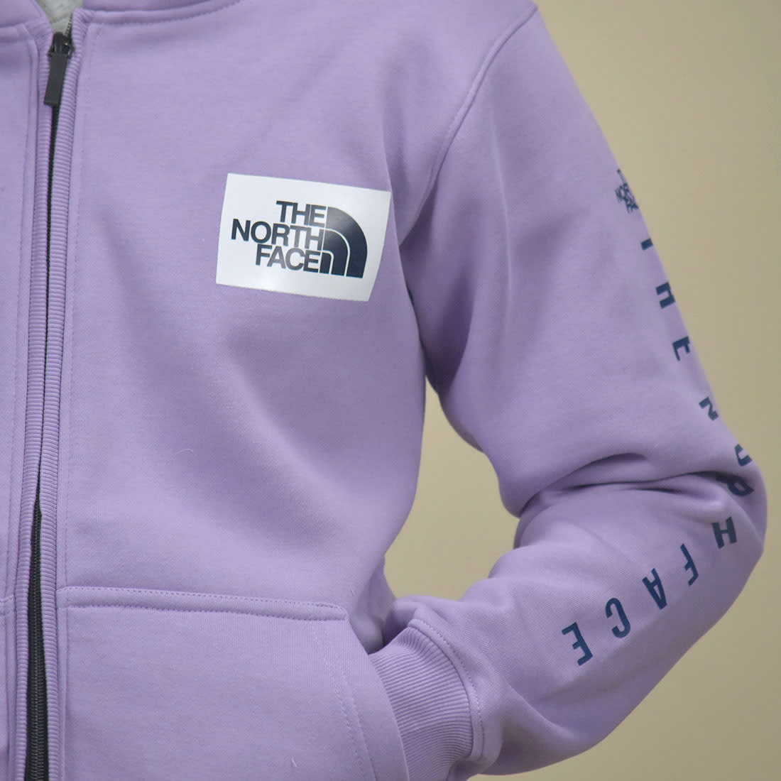 The North Face Purple Premium Quality Hoodie-4