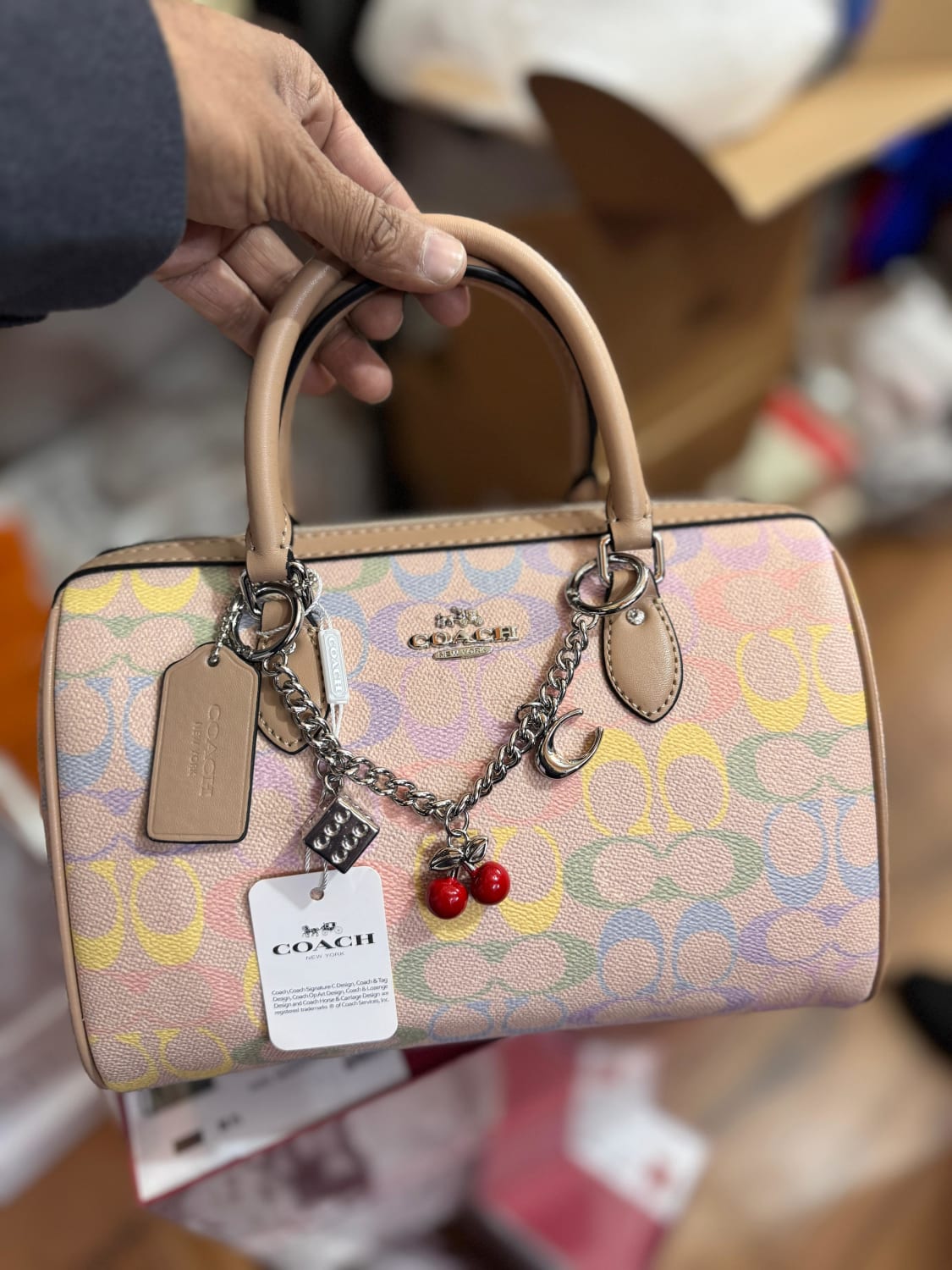 Coach Willow Laurel Multi Tote Hobo Bag-0