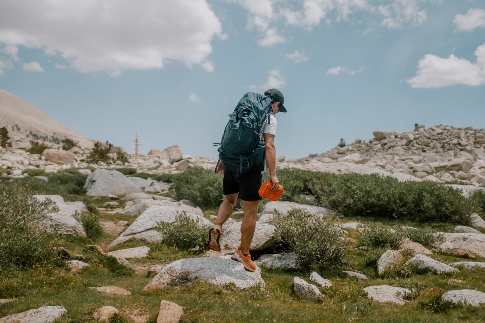 Evergreen case on a mountain trail